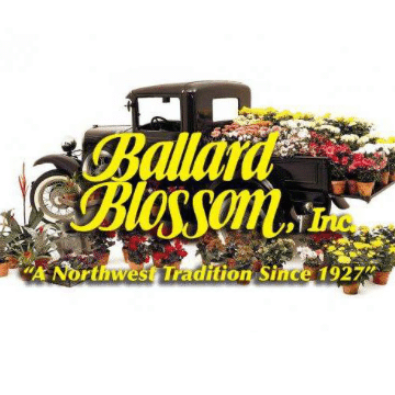 Ballard Blossom - Floral
