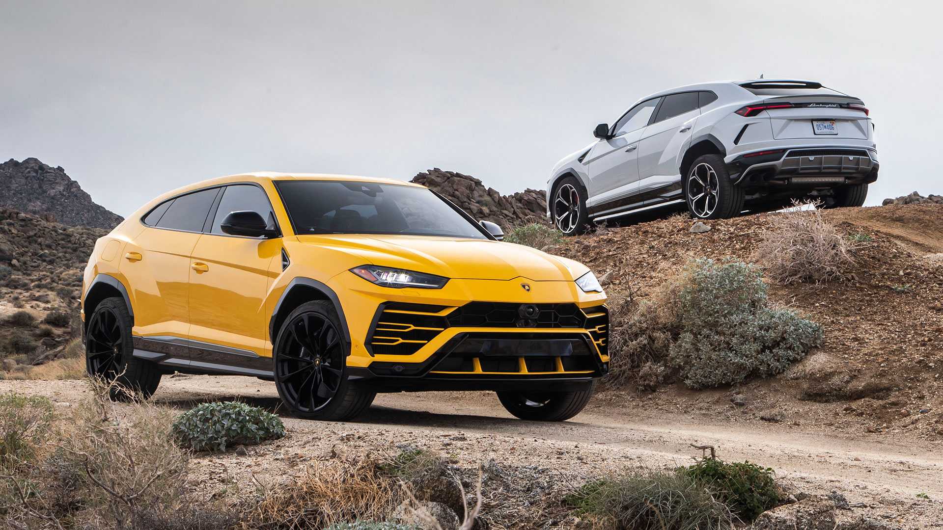 Lamborghini Urus | 1 Day Rental